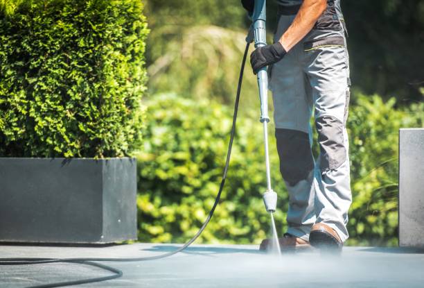 Best Soft Washing for Delicate Surfaces in Smithville, TX